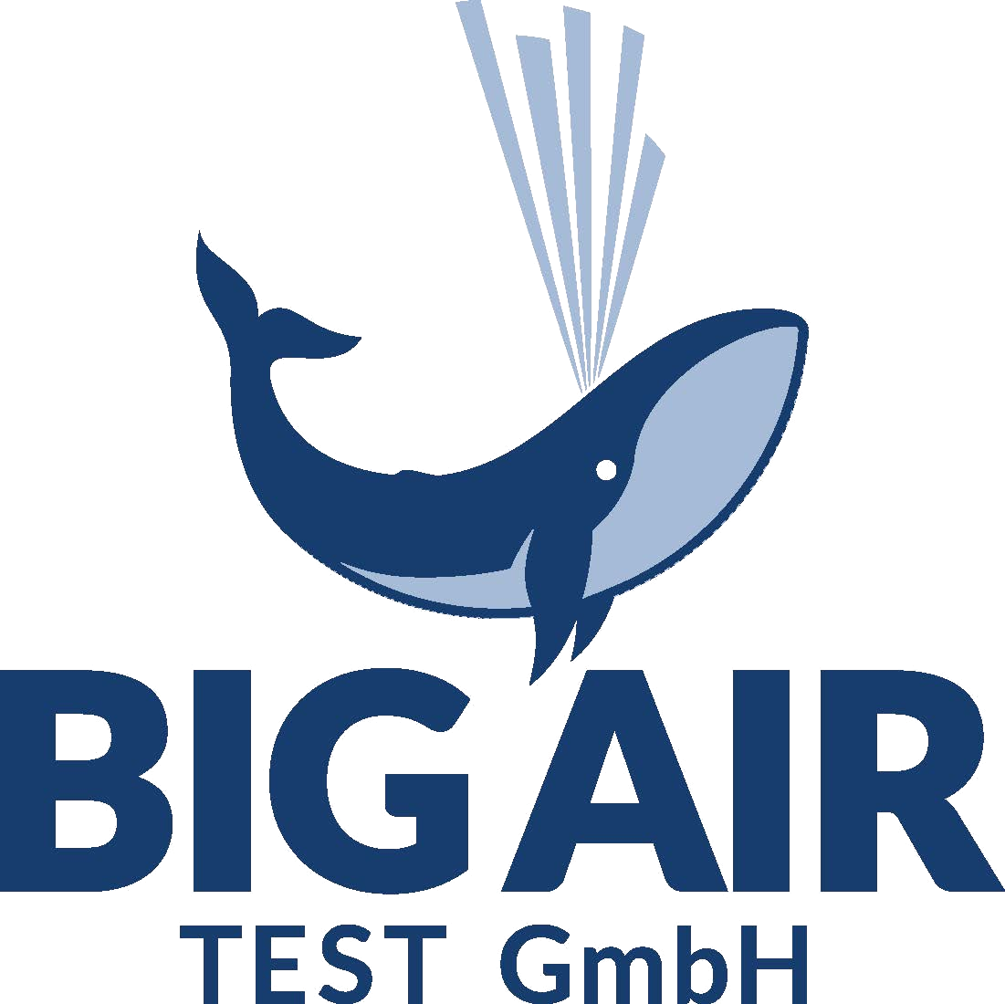 Big Air Test GmbH